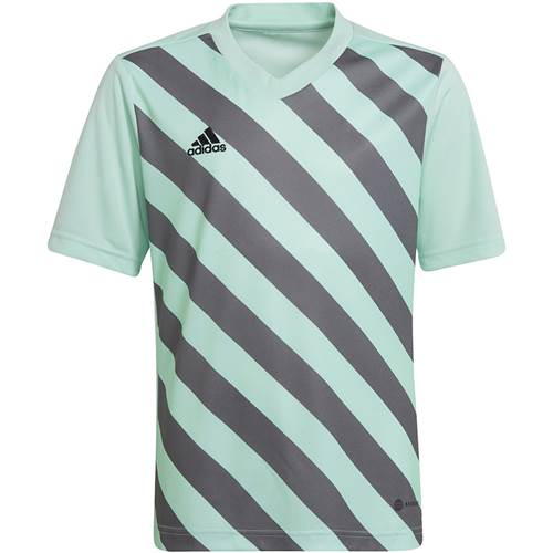 Tričko Adidas Entrada 22 Graphic Jersey