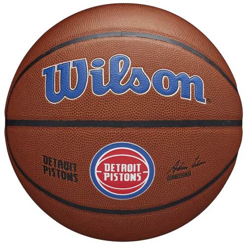  Wilson Team Alliance Detroit Pistons