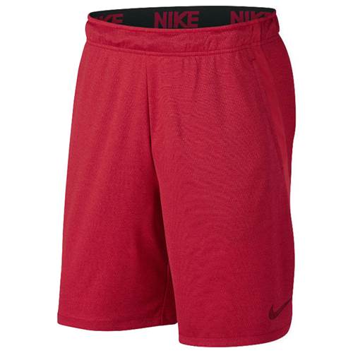  Nike Dry Short 40