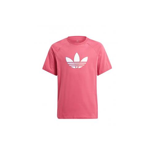 Tričko Adidas Adicolor Graphic Tee