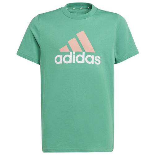 Tričko Adidas Big Logo Tee JR